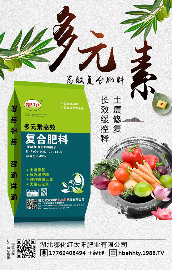 洋蔥什么時間種植？洋蔥的種植要點！