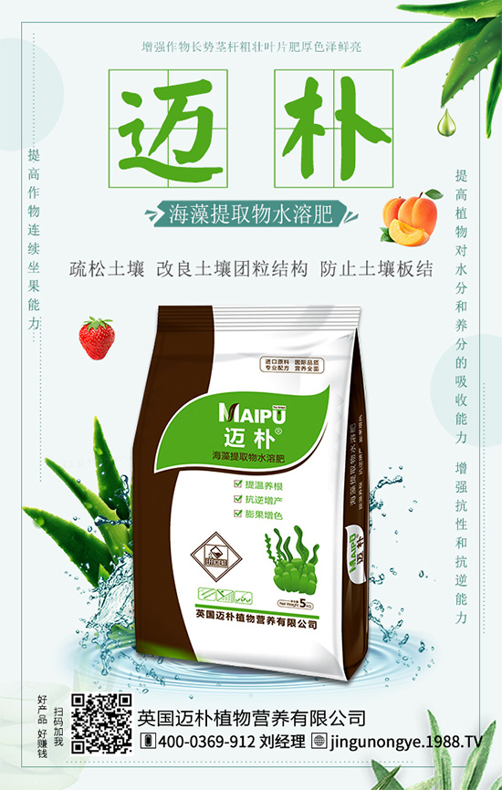 吃柑橘有什么好處？柑橘的營養(yǎng)價值！