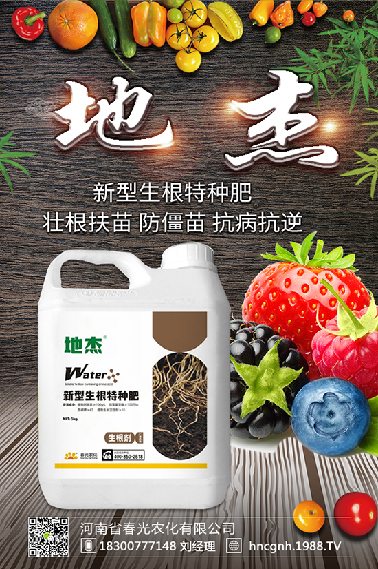 風(fēng)鈴花養(yǎng)殖方法 風(fēng)鈴花養(yǎng)殖注意事項(xiàng)