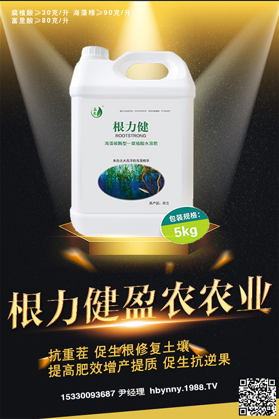     ������ȥ�������_�����_���Ϸ���ע�⡰���ɡ�