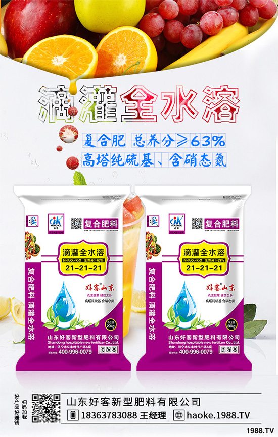 荊芥常見病害有哪些？該如何防治？荊芥常見病害的發(fā)生與防治技巧