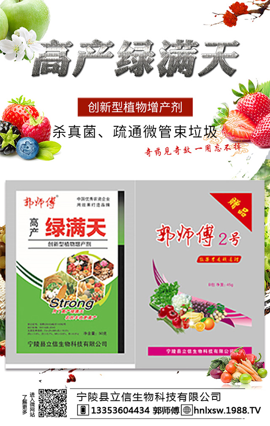 辣椒種子怎么進(jìn)行浸泡處理？辣椒種子的催芽方法及好處！