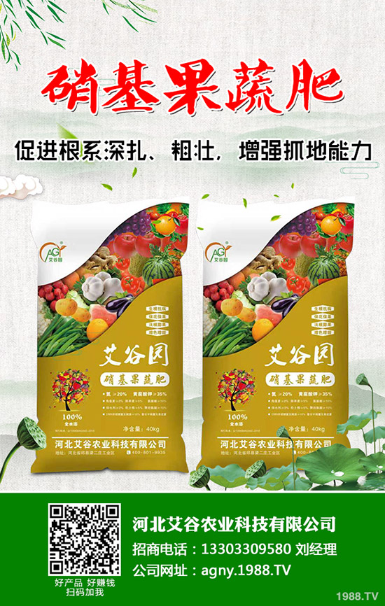     2020年春節(jié)將至！磷銨市場壓力巨大！最新二銨價(jià)格行情走勢預(yù)測！