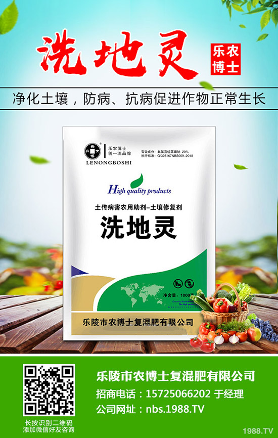 莧菜什么時(shí)候種植，莧菜的種植時(shí)間和方法！