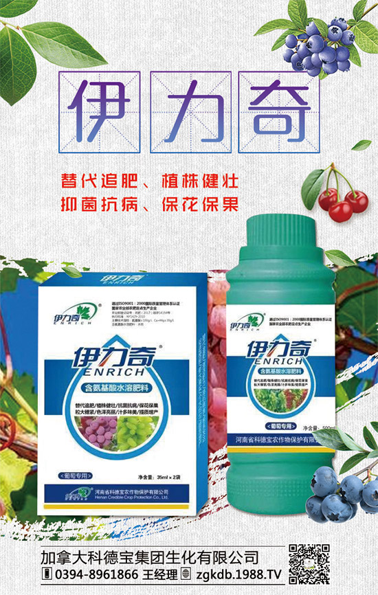     臨近年關！二銨行情是否上??！2020年二銨價格行情走勢預測！