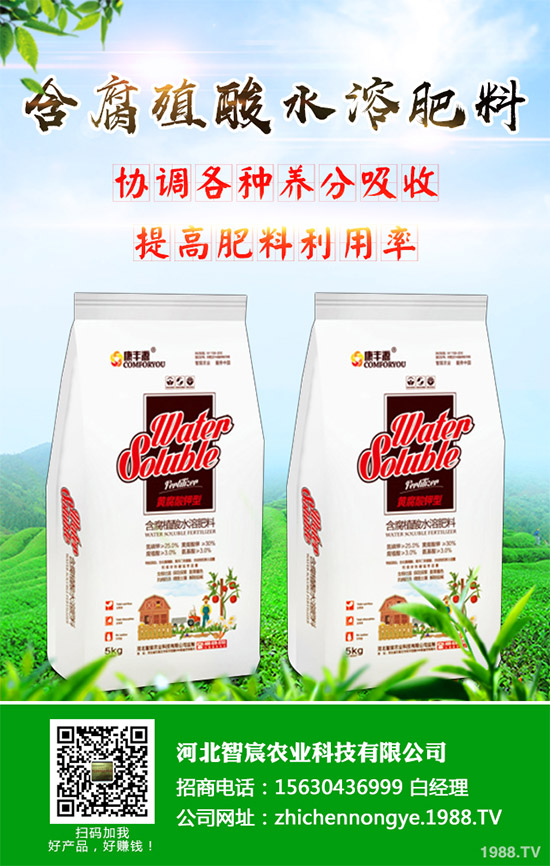 綠花菜該怎么種?綠花菜的高產種植技術