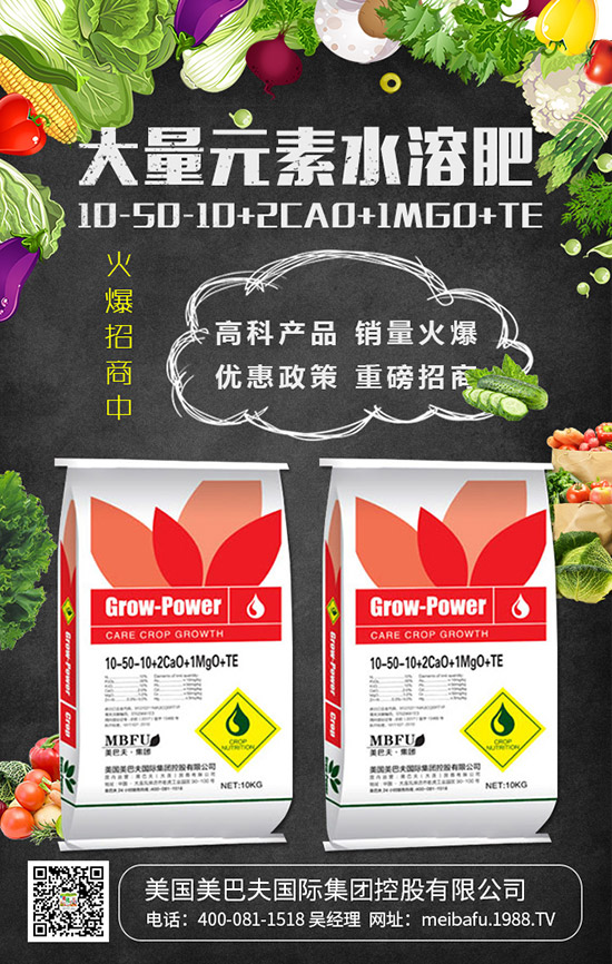     2019���������@��������r��C�Ϸ�����棡