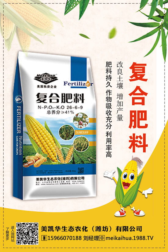     2019�������һ�@��������r��C�Ϸ��������