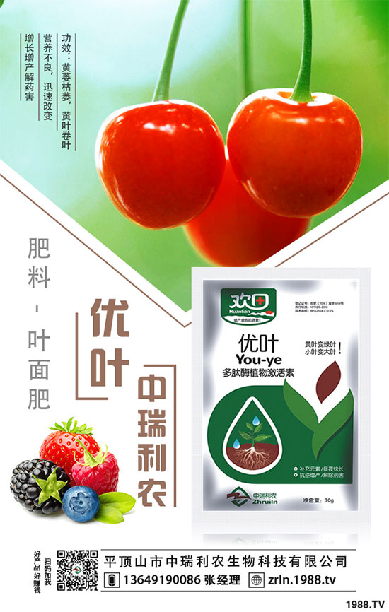 芋頭的品種選擇,芋頭種植需要哪些注意事項(xiàng)?