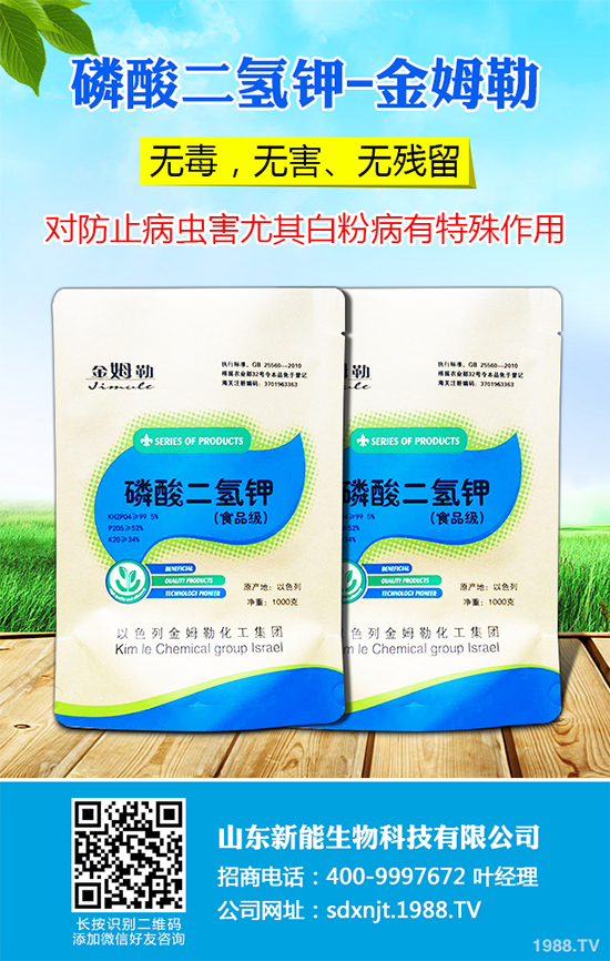 魔芋價格多少錢一斤？2020年魔芋種植的市場行情