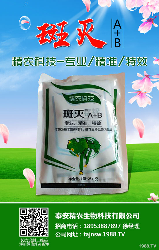 吃蠶豆對人體有哪些好處，蠶豆的功效與營養(yǎng)價(jià)值！