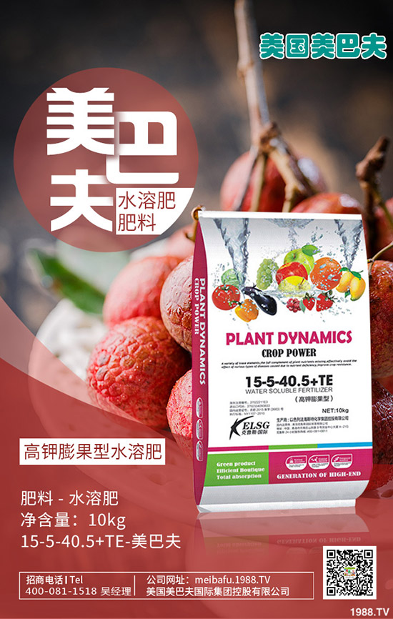     構(gòu)樹產(chǎn)地在哪里？種植構(gòu)樹國家還補(bǔ)貼！2020構(gòu)樹種植前景如何？賺錢嗎？