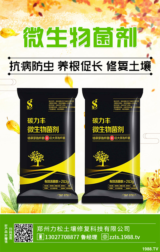 種植什么藥材能賺錢？2020年中藥材種植前景分析