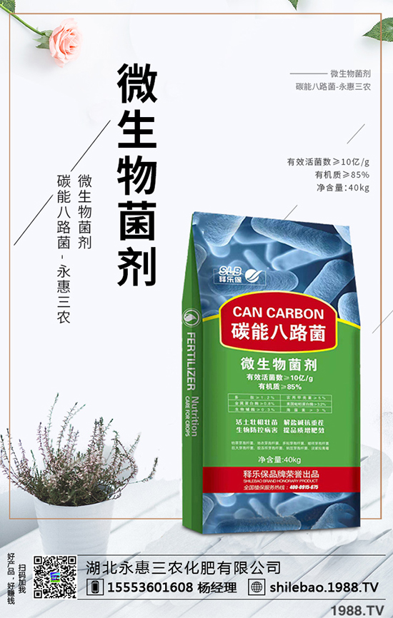 2020年西梅的種植前景如何？西梅價格多少錢一斤？