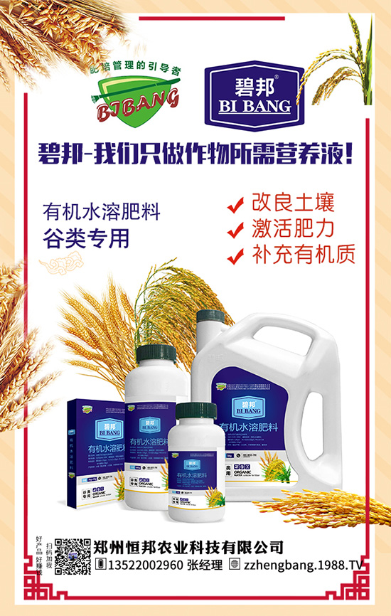 吃天麻有哪些好處？天麻的功效作用及食用禁忌