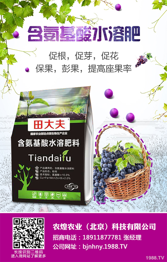 降雪過(guò)后，蔬菜大棚你知道該怎么管理嗎？