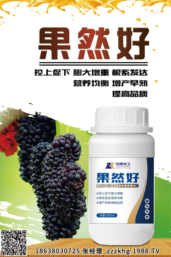 金線蓮有哪些營養(yǎng)價(jià)值？金線蓮的功效作用及食用方法