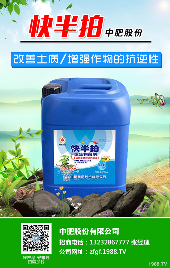 金線蓮該如何種植？金線蓮的種植及養(yǎng)管理