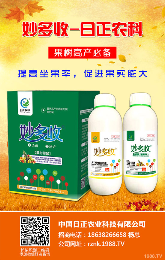 金線蓮該如何種植？金線蓮的種植及養(yǎng)管理