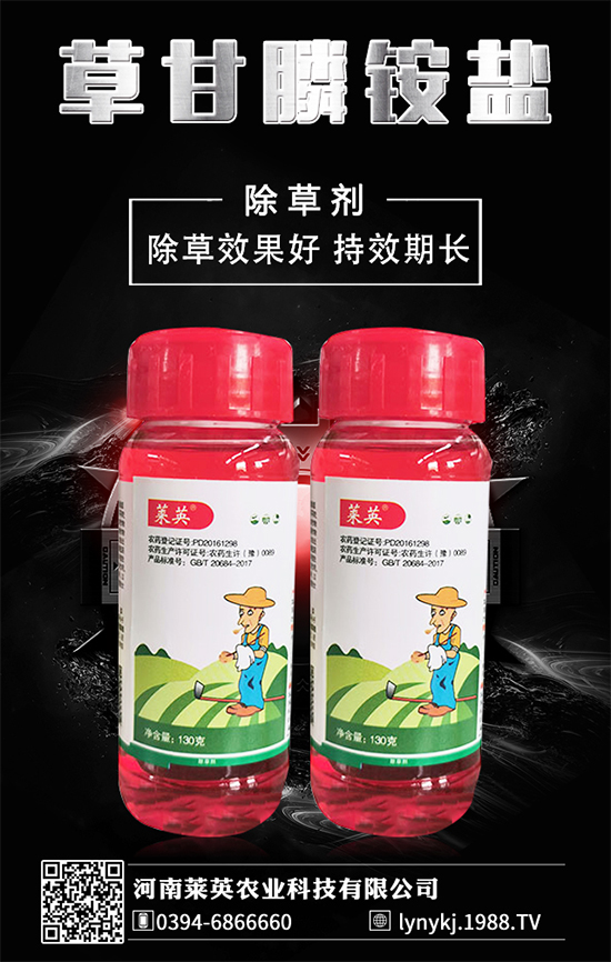     橙子價格如何？貴么？2020種植橙子賺錢么？種植前景怎么樣？