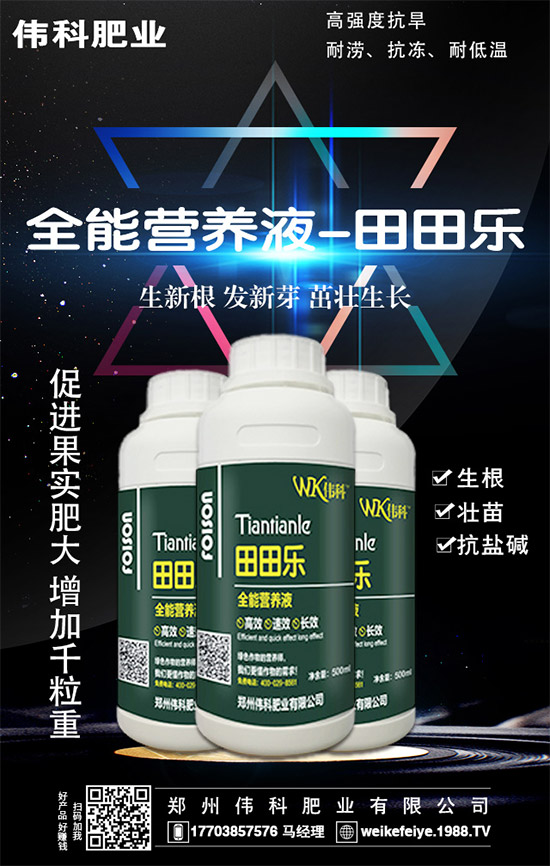     橙子的營養(yǎng)價值有哪些？功效與作用有哪些？不易哪些人群食用？