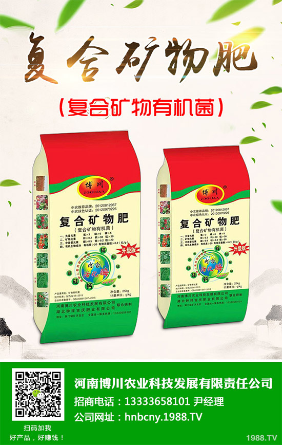 野生金線蓮有哪些神奇功效？野生金線蓮的功效及用法