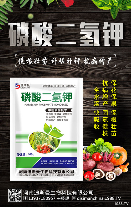 野生金線蓮有哪些神奇功效？野生金線蓮的功效及用法