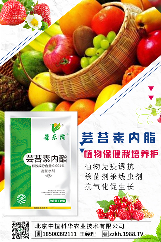 彩椒什么時(shí)間種植？彩椒的高產(chǎn)種植方法！