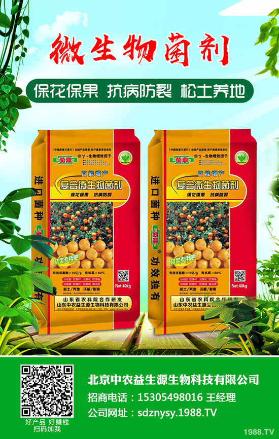     2020年1月1日鼠年到來磷銨行情是否有變？最新二銨價格早報！