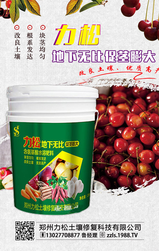     2019-12-4���@�������M(j��n)��(d��ng)�����������@�r(ji��)������������(b��o)��