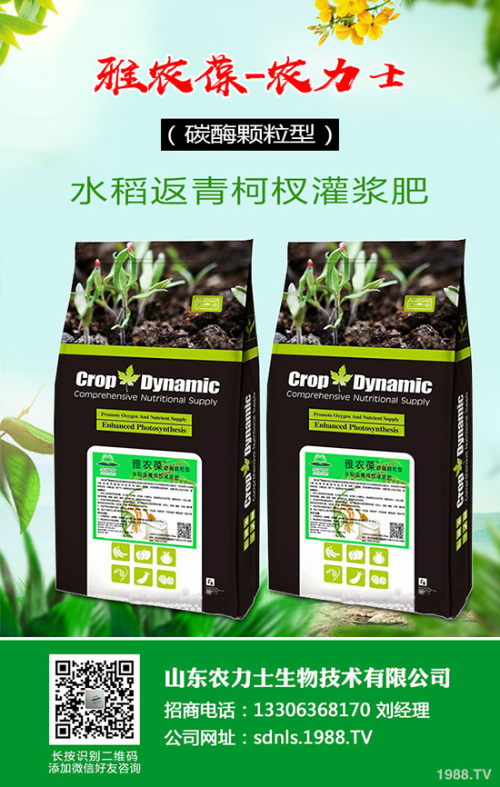     2019-12-4復(fù)合肥報(bào)價(jià)暫穩(wěn)成交下滑！復(fù)合肥行情后市預(yù)測(cè)！