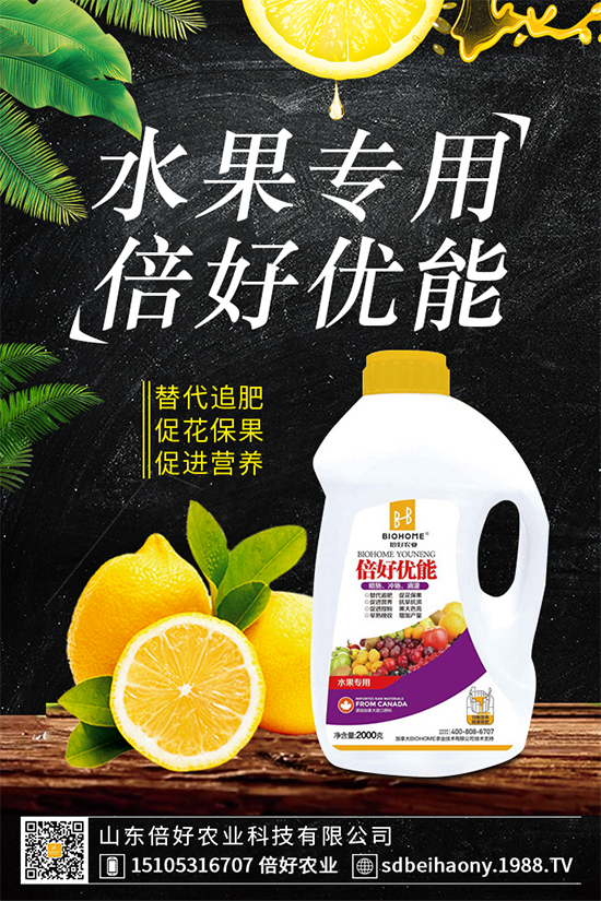 木耳菜有哪些營養(yǎng)價值？木耳菜的功效作用