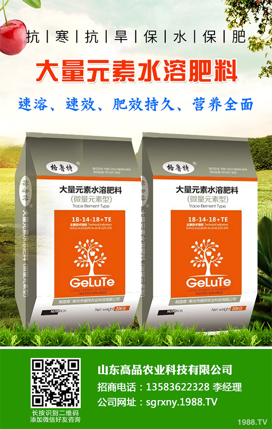木耳菜如何過(guò)冬？木耳菜冬季管理措施