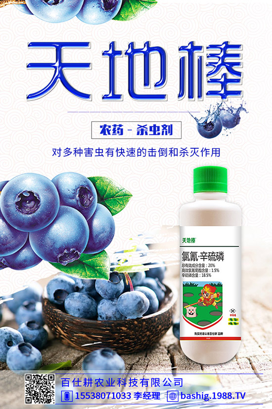 空心菜用什么肥好，空心菜的施肥技巧有哪些？