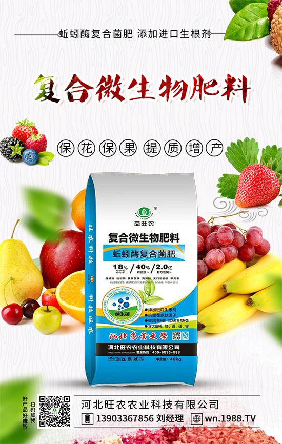 大白菜上的小黑點(diǎn)是什么？如何預(yù)防白菜長(zhǎng)黑點(diǎn)呢？