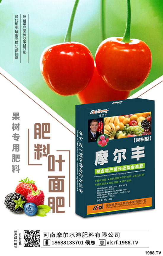 黃精種植到底掙不掙錢(qián)？黃精種植要點(diǎn)分析！