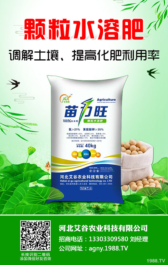 空心菜怎樣施肥產(chǎn)量高，空心菜施肥技巧有哪些？