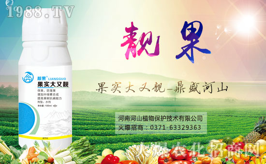 �r(n��ng)���W(w��ng)ϲӭ�����������Ϻ�ɽֲ��ɹ����s1988.TV��