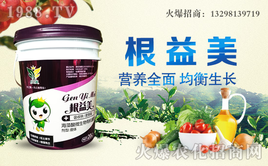 �~֮������ɹ����v�r(n��ng)���W(w��ng)���_�ؾW(w��ng)�j(lu��)������������