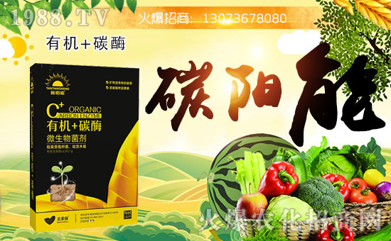 �����r(n��ng)���_(d��)�ٶȔy��1988.TV���_�ؾW(w��ng)�j(lu��)�����¾�����