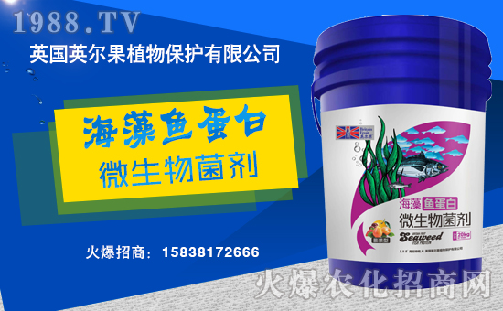 ����������(j��)��Ӣ����ֲ��y���r(n��ng)���W(w��ng)�����W(w��ng)�j(lu��)����·��