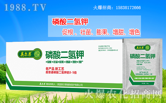 ����������(j��)��Ӣ����ֲ��y���r(n��ng)���W(w��ng)�����W(w��ng)�j(lu��)����·��