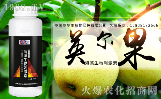 ����������(j��)��Ӣ����ֲ��y���r(n��ng)���W(w��ng)�����W(w��ng)�j(lu��)����·��