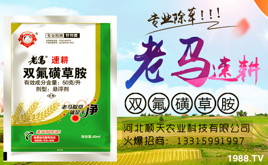 ���r(n��ng)���W(w��ng)�ٺ��ӱ�����r(n��ng)�I(y��)�����M��(zh��n)�Ժ�����������