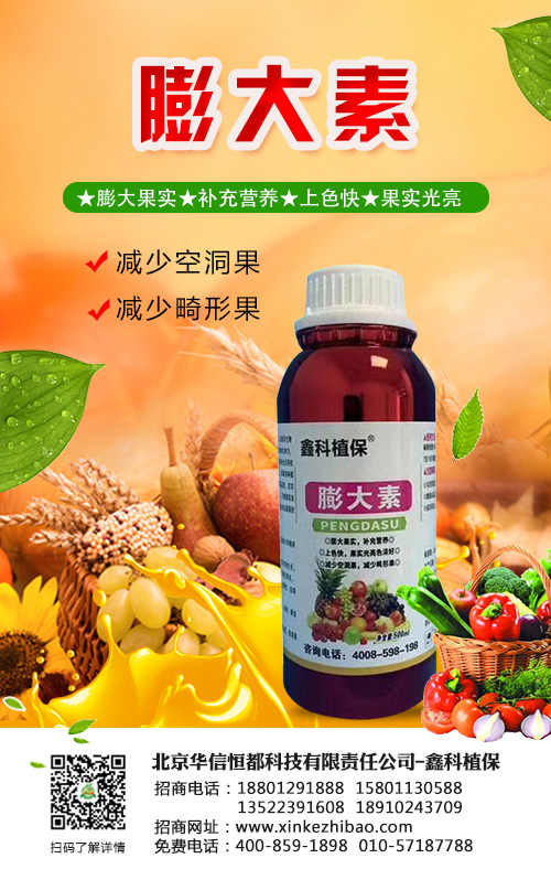 種植鳳眼果有幾點(diǎn)你是一定要注意的，否則想種好很難