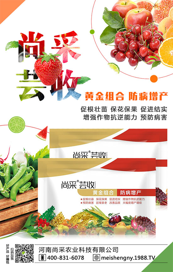 棗樹座果率低的原因是什么呢？棗樹如何提高座果率？