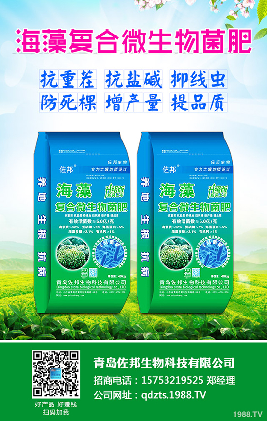 芹菜是日常生活中常見(jiàn)的蔬菜品種,對(duì)種植環(huán)境要求相對(duì)較高,只有在黏性土壤上才可以正常的生長(zhǎng)。那么,芹菜什么時(shí)候種植比較好?大棚芹菜該如何種植呢?