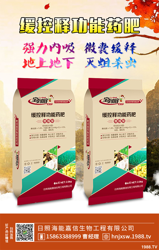 芹菜該如何種植？注意些什么？芹菜高產(chǎn)種植方案