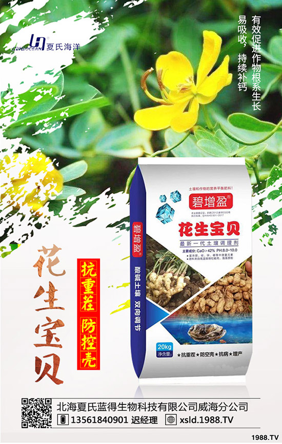 板藍(lán)根種前景如何？板藍(lán)根高產(chǎn)種植要點(diǎn)！