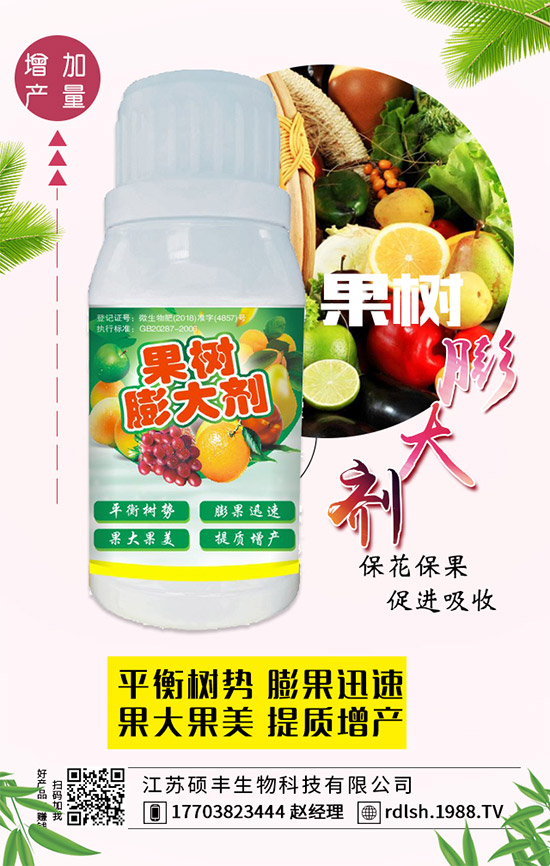 黑木耳的功效與作用，黑木耳的飲食禁忌有哪些？